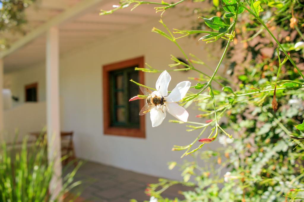 Fazendinha - Tavira - Spacious And Tranquil Ξενοδοχείο Εξωτερικό φωτογραφία